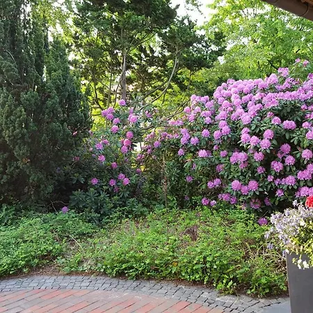 Schomaker-fatmann Werlte