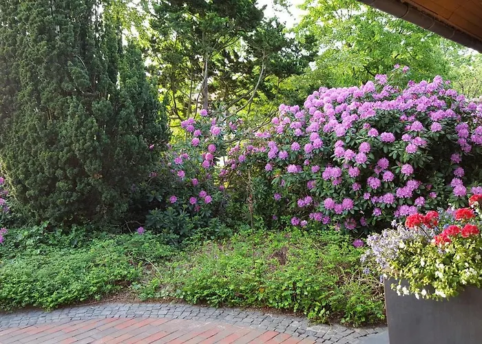 Schomaker-fatmann Werlte